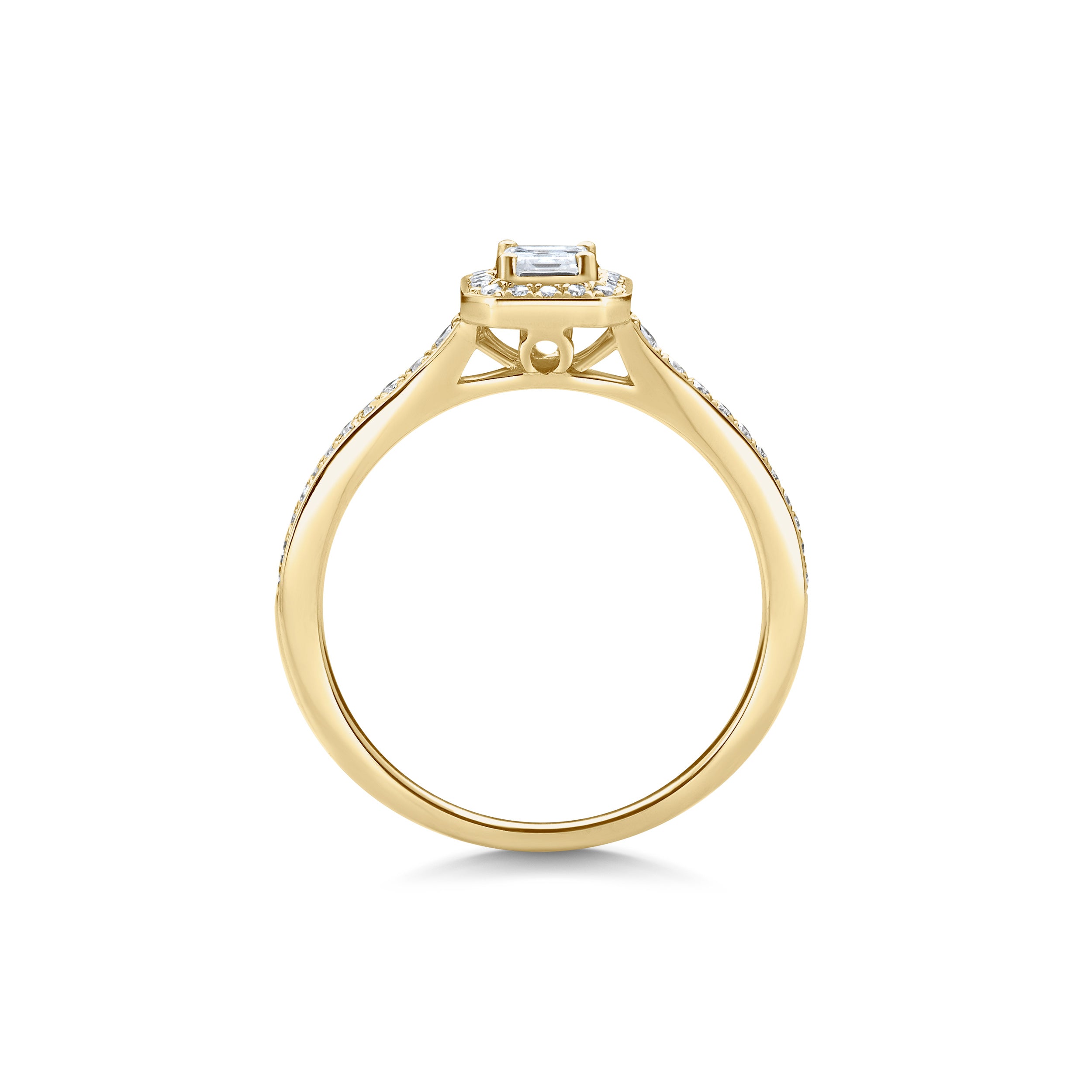 MAXIME yellow gold